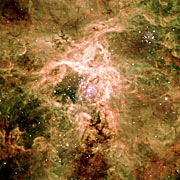 Cosmic spider: the Tarantula Nebula