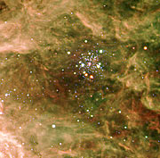 The stellar cluster Hodge 301