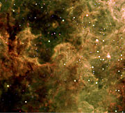 Gas pillars in Tarantula Nebula