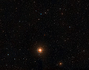 Digitized Sky Survey image of the star T Leporis