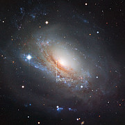 Supernova 2003cg en la galaxia NGC 3169