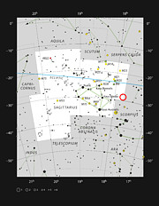 RR Lyrae stars in the constellation of Sagittarius