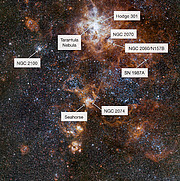 La ricca regione di cielo intorno alla Nebulosa Tarantola nella Grande Nube di Magellano (con note)