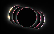 Vue composite de l’éclipse solaire hybride du 3 novembre 2013