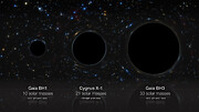 The image shows an artist’s impression of three stellar black holes, represented by black spheres, side-by-side against a backdrop of stars, which is distorted in the immediate space around the black hole. Below each, the image of the black hole is slightly reflected, and overlaid text describes the name, mass, and distance of the black hole. The first (far-left) is the smallest black hole, and the text reads, ‘Gaia BH1; 10 solar masses; ~1500 light years away’. The second (centre) is the second largest. Text reads, ‘Cygnus X-1; 21 solar masses; ~7000 light-years away’. The final black hole (far-right) is the largest in size. Text reads, ‘Gaia BH3; 33 solar masses; ~2000 light years away’.