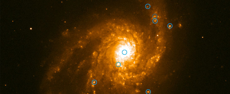 Spiral galaxy NGC 4254