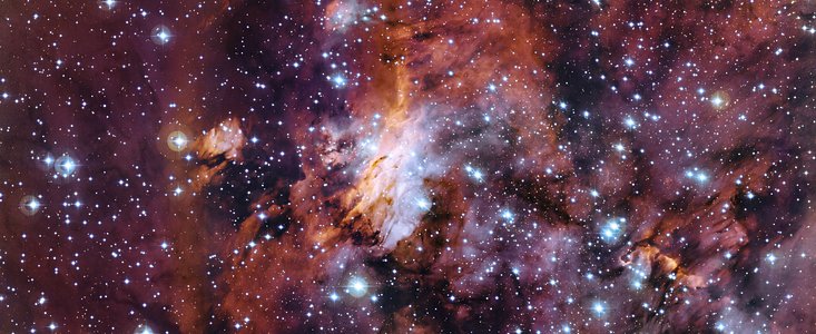 The Prawn Nebula in close-up
