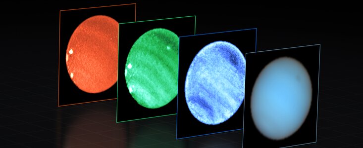 Hier sind vier Teleskopaufnahmen des Planeten Neptun nebeneinander zu sehen. Das ganz rechte Bild ist eine fast eigenschaftslose cyanfarbene Scheibe mit einem schwachen dunklen Fleck oben rechts. Die anderen drei, blau, grün und rot eingefärbten Bilder zeigen kontrastreichere Ansichten von dunklen und hellen Flecken sowie von Bändern, die den Planeten diagonal durchziehen.