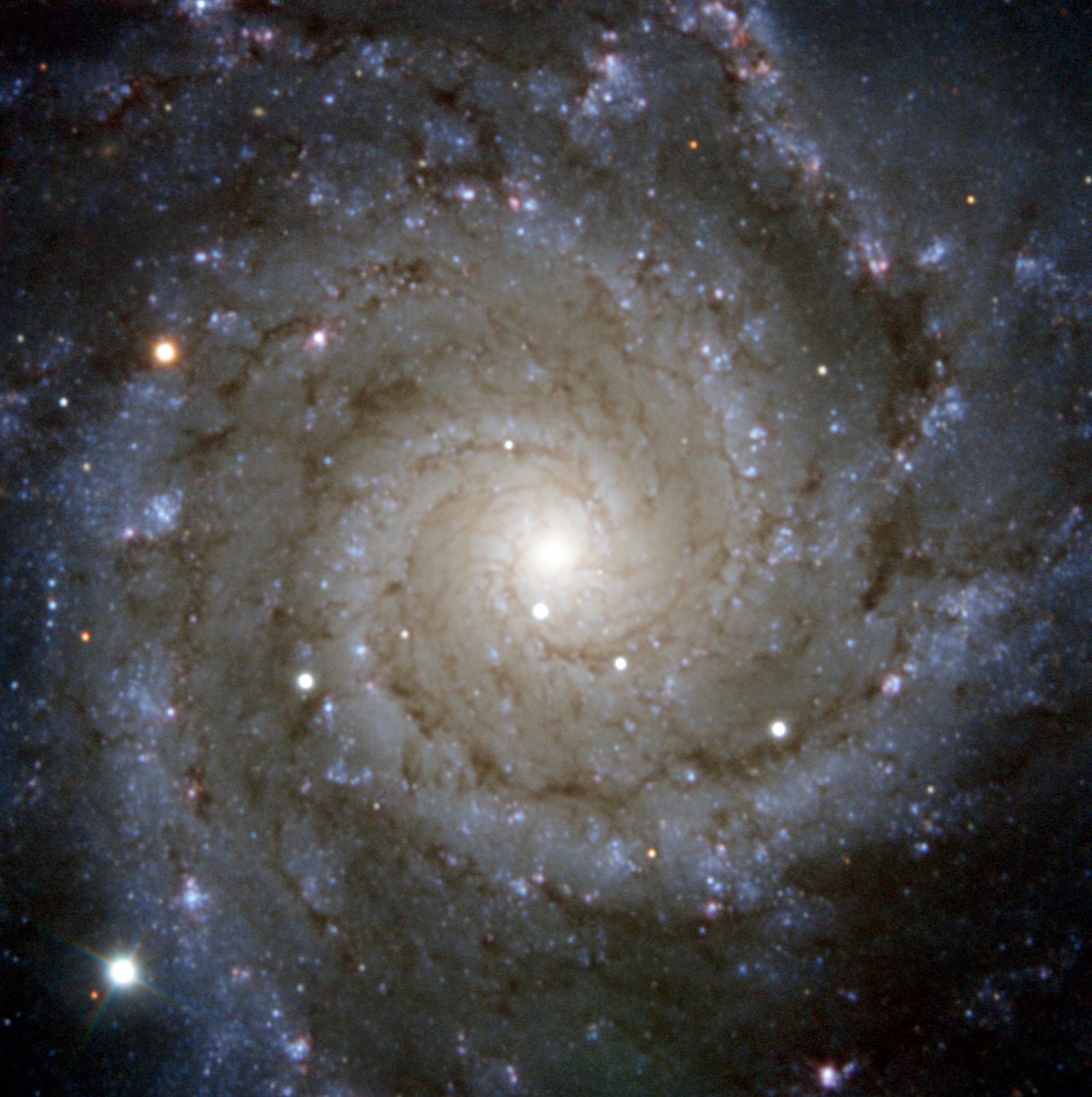 PESSTO snaps Supernova in Messier 74