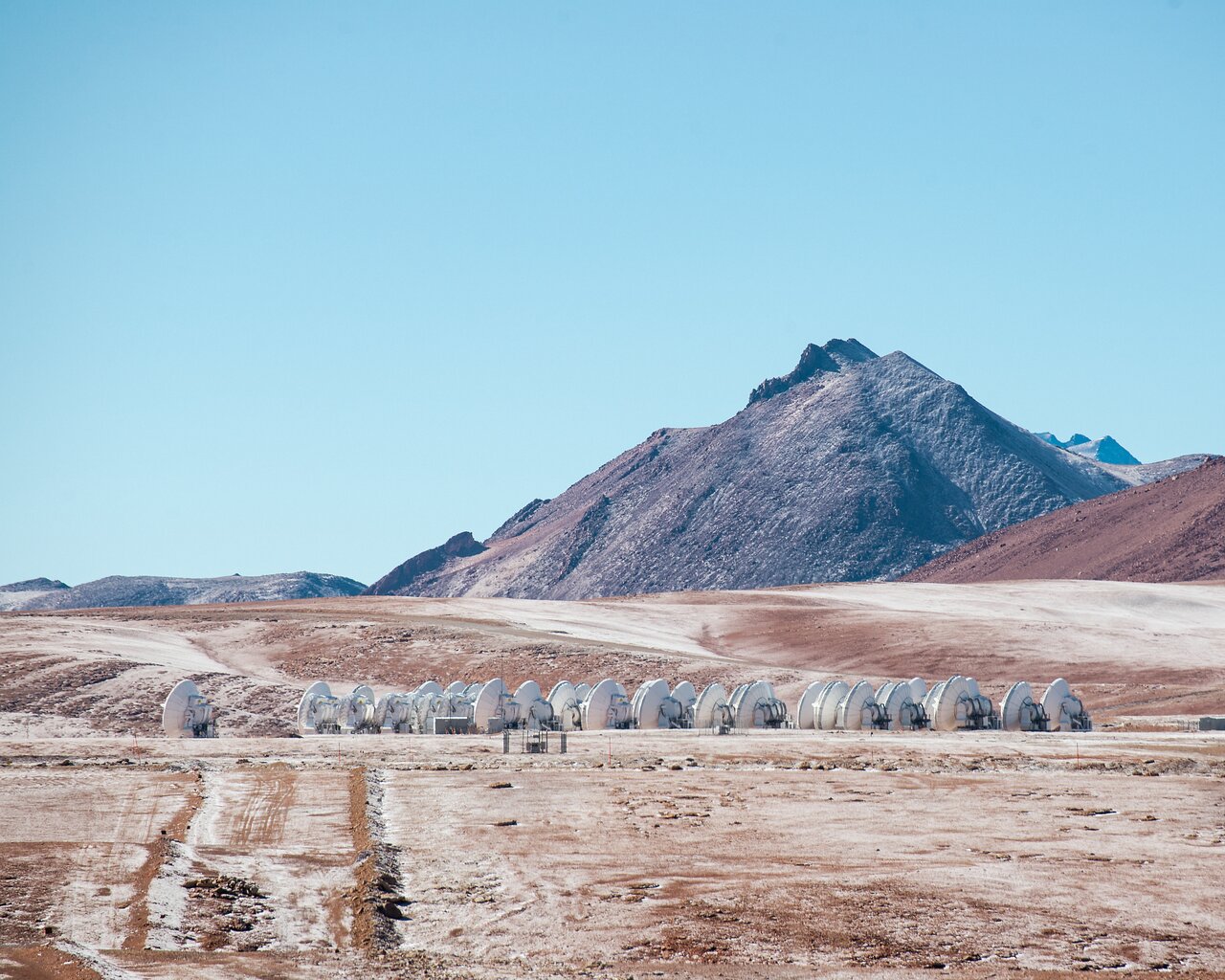A wild encounter in the desert - Vimarsana News