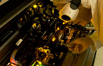 Twenty years of Adaptive Optics development at ESO