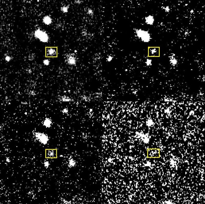 Brightness decline of Nova in NGC 1316