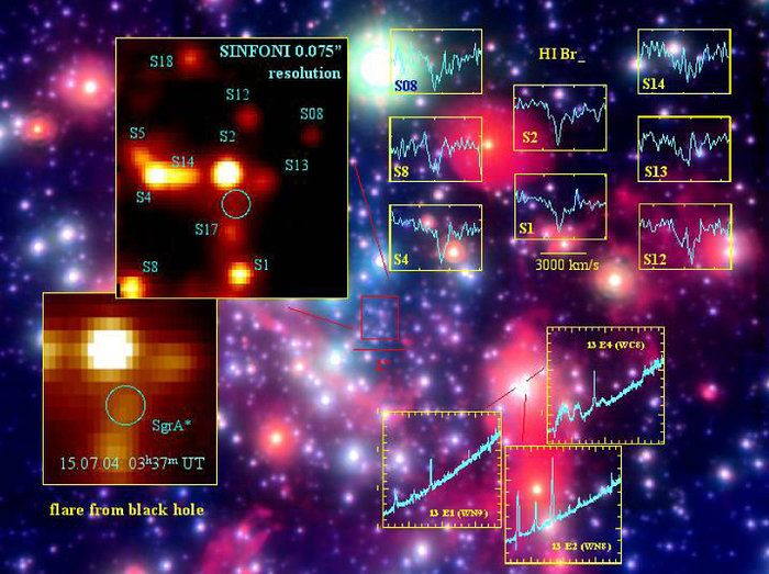 SINFONI observations of the Galactic Centre
