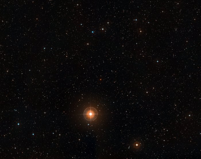 Digitized-Sky-Survey-Bild des Sterns T Leporis