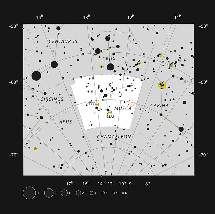 Den unge stjerne HD 100546 i det sydlige stjernebillede Musca