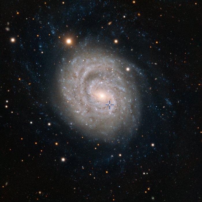 Supernovan 1999em i galaxen NGC 1637 (med etiketter)