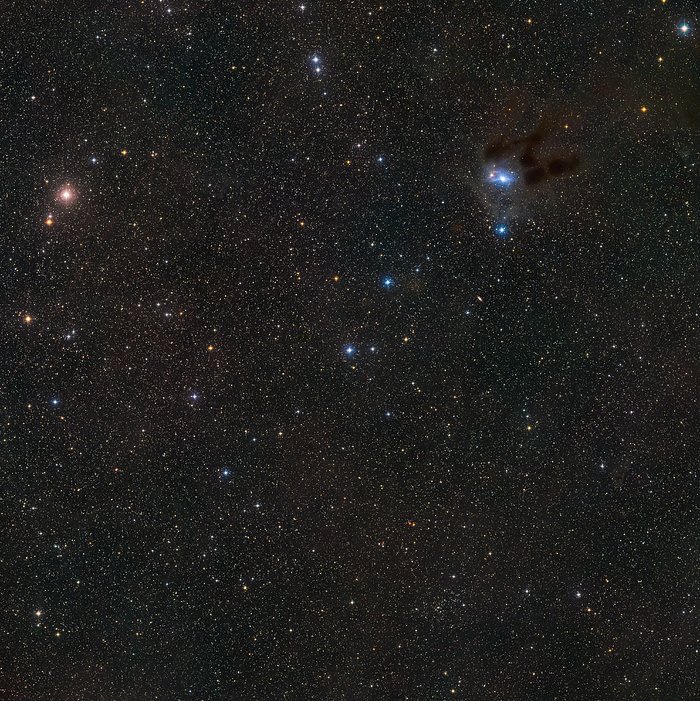O céu em torno da jovem estrela MWC 480