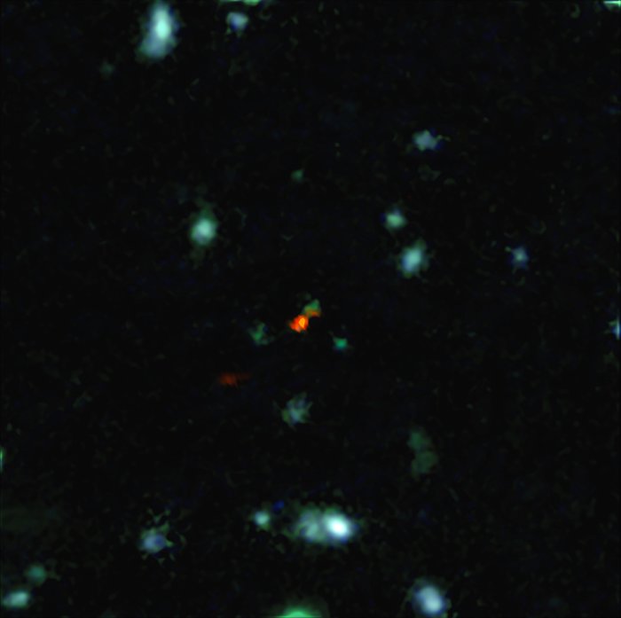 ALMA ser en galakse dannes i det tidlige Univers
