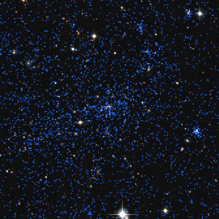 En avlägsen galaxhop (sammansatt bild i röntgenstrålning och synligt ljus)