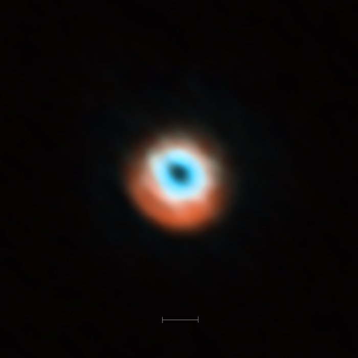 ALMA-Aufnahme der Übergangsscheibe um HD 135344B