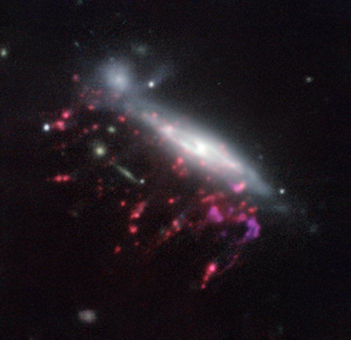 Exemplo de uma galáxia alforreca