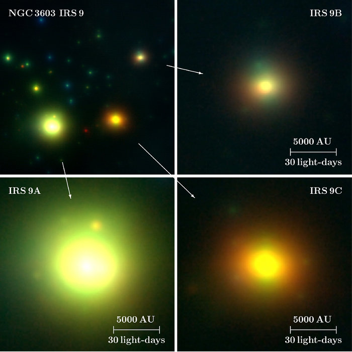 The high-mass protostars IRS 9A-C