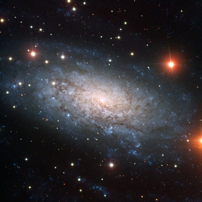 A galaxy full of surprises —  NGC 3621 is bulgeless but has three central black holes