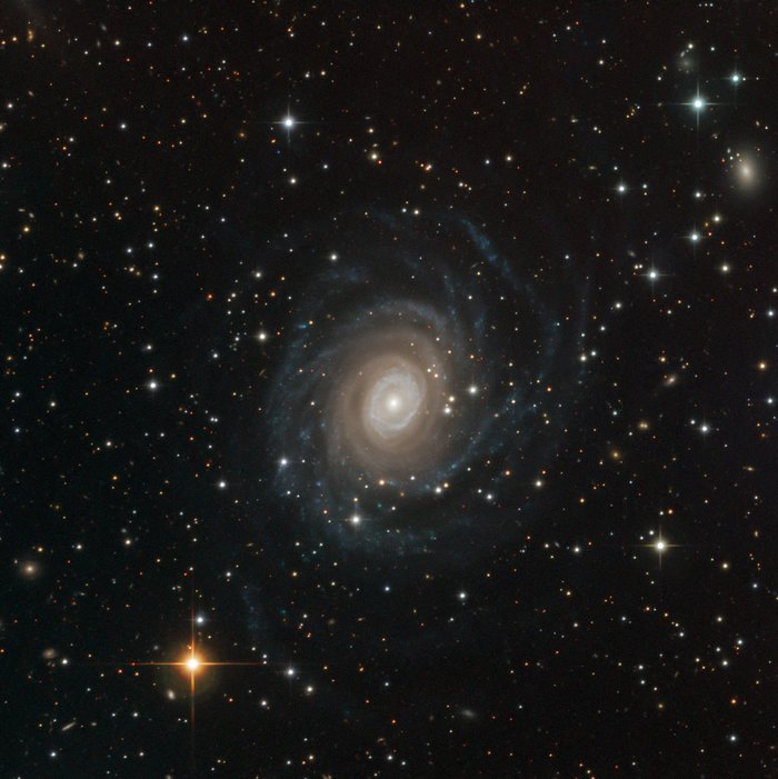 NGC 6902 z dalekohledu SPECULOOS