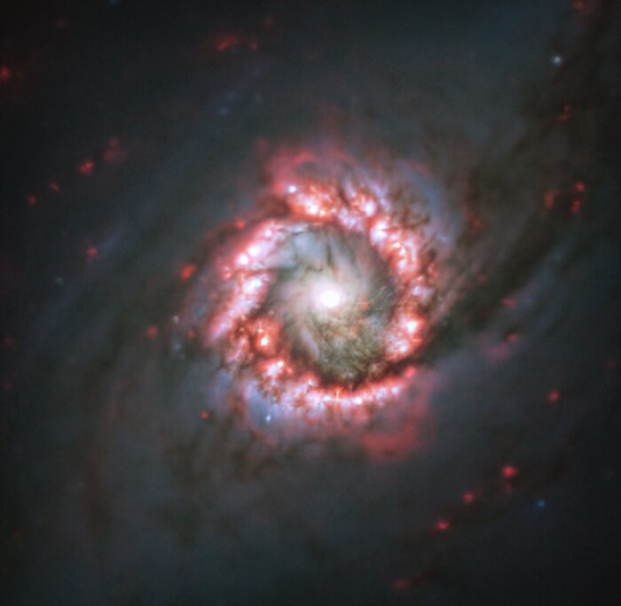 Rose de formation stellaire autour d'un trou noir supermassif distant