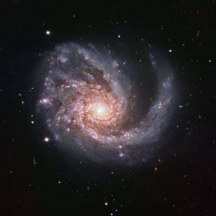 Designergalaksen NGC 4254