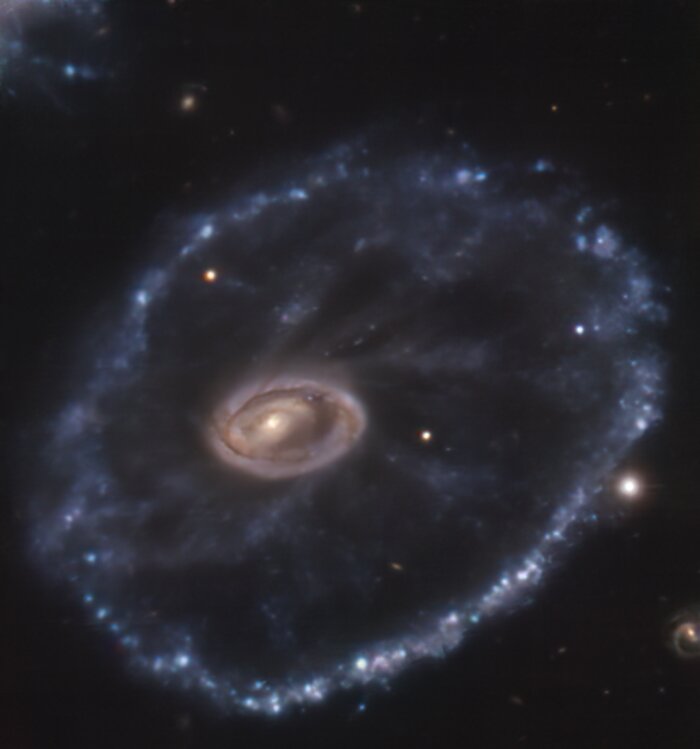 The Cartwheel galaxy seen by MUSE