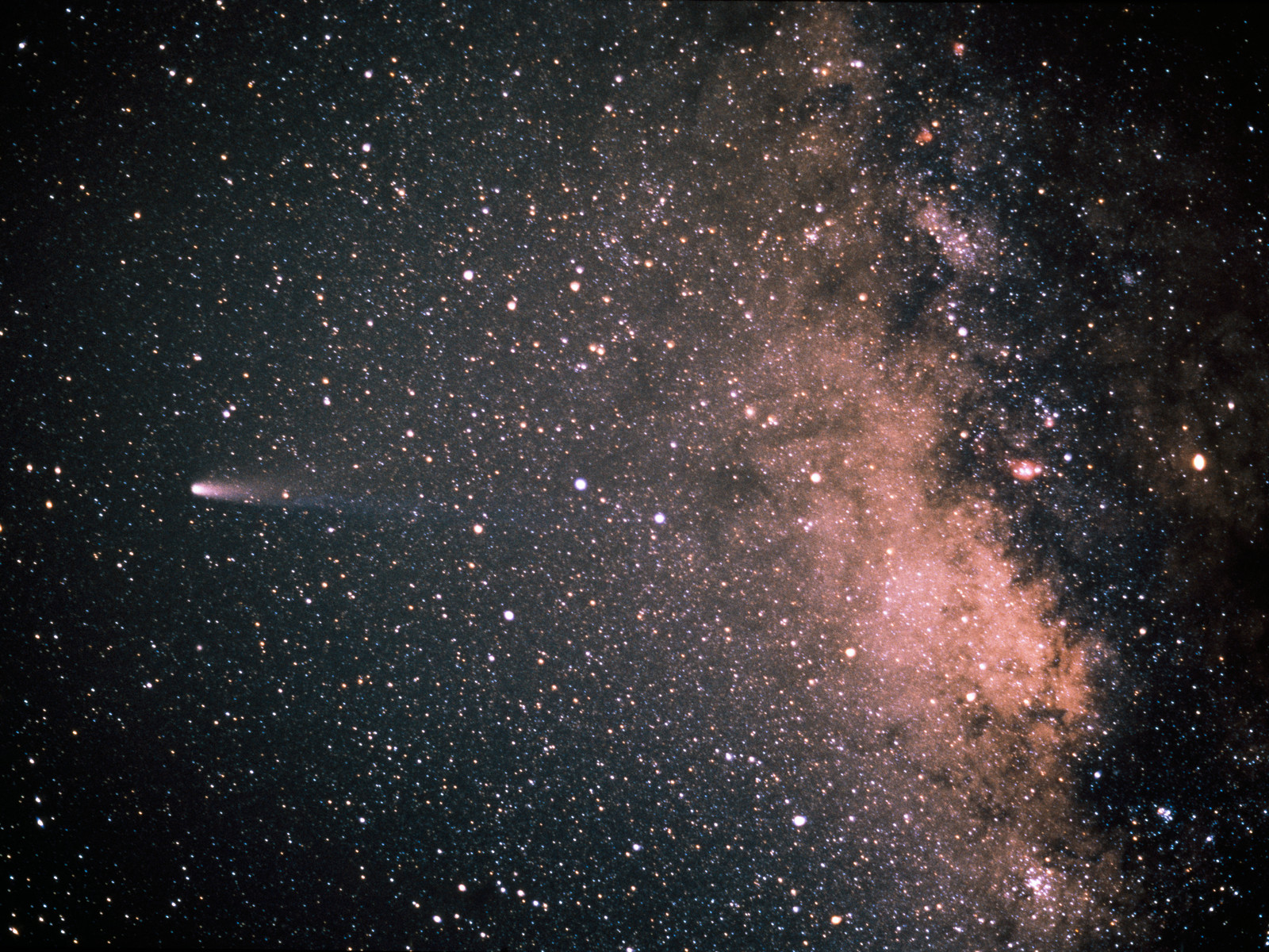 Comet Halley in 1986 | ESO