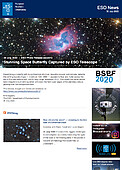 ESO — Smuk rumsommerfugl fanget med ESO-teleskop — Photo Release eso2012da