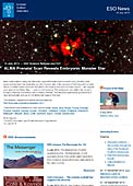 ESO Science Release eso1331sv - Ofödd monsterstjärna avslöjas av ALMA:s fosterdiagnostik