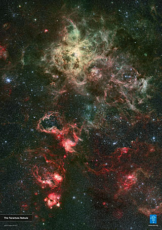 Poster: The Tarantula Nebula