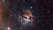 Zoom auf den Möwennebel (IC 2177)