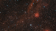 Zoom sull'ipergigante rossa VY Canis Majoris