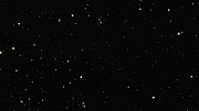 Zooming into the MUSE view of the Hubble Ultra Deep Field