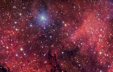 The Dark Wolf Nebula