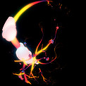 Tendril VJ clip