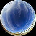 ALMA Transporter
