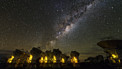 Following the Milky Way over ALMA