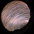 Circular star trails