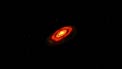Artist's 3d impression of the disc around the young star HL Tauri