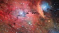 Stellar Nursery Blooms into View