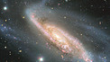 Panorâmica sobre a NGC 3981