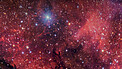 The Dark Wolf Nebula