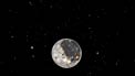 Later evolution of the Moon
