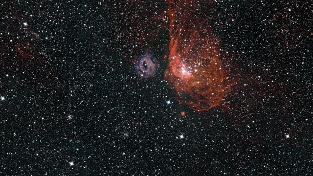 Zoom auf die leuchtenden Gaswolken NGC 2014 und NGC 2020