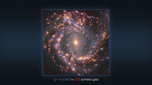 Meerdere beelden van het sterrenstelsel NGC 4303, zoals waargenomen met VLT en ALMA (met verklarende tekst)